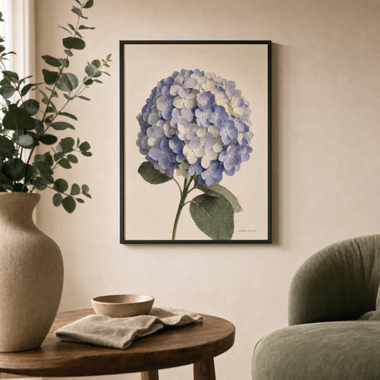 Hydrangea Bloom Poster — Single hydrangea bloom head in soft blue-violet and cream, lifestyle in interior, Atelier Poster