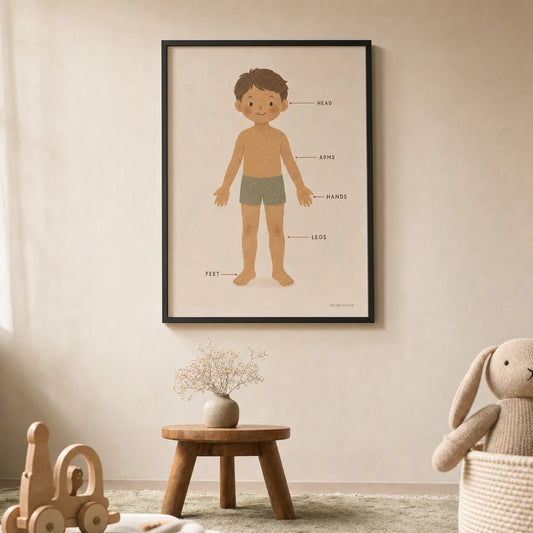 Body Parts Diagram Poster — Simple body diagram with labeled parts soft warm tones, lifestyle in interior, Atelier Poster