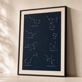 Constellations Night Sky Poster