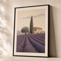 Provence Lavender Fields Poster