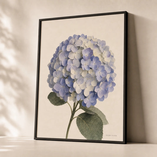 Hydrangea Bloom Poster — Single hydrangea bloom head in soft blue-violet and cream, premium hero shot, Atelier Poster