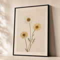Pressed Daisy Trio Poster