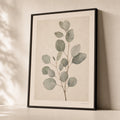 Eucalyptus Branch Study Poster