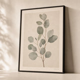 Eucalyptus Branch Study Poster — Vintage herbarium-style eucalyptus branch in soft sage, premium hero shot, Atelier Poster