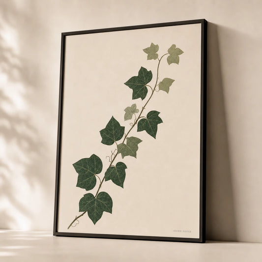 Ivy Climbing Cream Poster — Single ivy vine climbing diagonally in forest green sage, premium hero shot, Atelier Poster