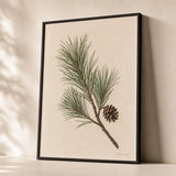 Pine Branch Winter Poster — Single pine branch with one small pinecone on cream, premium hero shot, Atelier Poster