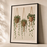 Boho Hanging Plants Trio Poster — Three hanging trailing plants in terracotta pots on macrame, premium hero shot, Atelier Poster