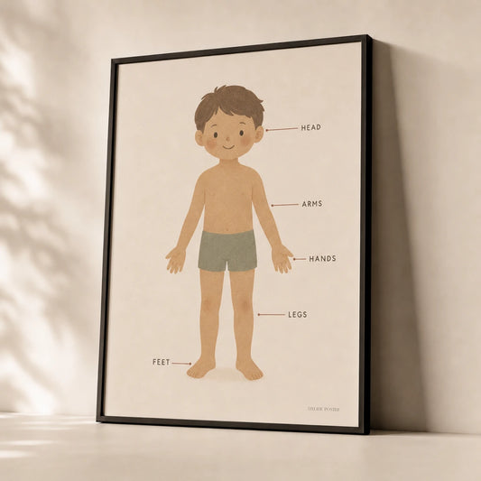 Body Parts Diagram Poster — Simple body diagram with labeled parts soft warm tones, premium hero shot, Atelier Poster