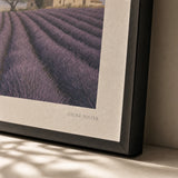 Provence Lavender Fields Poster — Mid-century Provence lavender fields with stone farmhouse, close-up detail of print, Atelier Poster