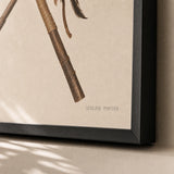 Tribal Spear Pair Poster — Two crossed tribal spears with leather and feathers, close-up detail of print, Atelier Poster