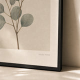 Eucalyptus Branch Study Poster — Vintage herbarium-style eucalyptus branch in soft sage, close-up detail of print, Atelier Poster