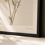 Pressed Daisy Trio Poster — Three pressed yellow daisies on cream linen background, close-up detail of print, Atelier Poster