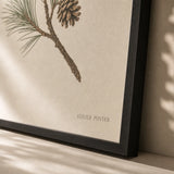 Pine Branch Winter Poster — Single pine branch with one small pinecone on cream, close-up detail of print, Atelier Poster